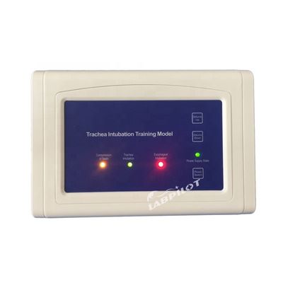Imparare le competenze di emergenza Articolo Simulatore di formazione all' intubazione con monitor elettronico