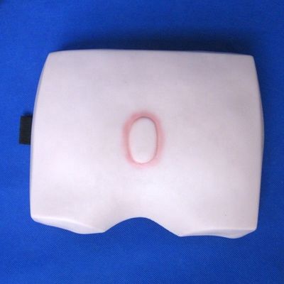 Modelli di formazione infermieristica clinica Stadi di decubito ulcera Cura infermieristica per ospedali