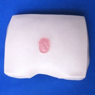Modelli di formazione infermieristica clinica Stadi di decubito ulcera Cura infermieristica per ospedali