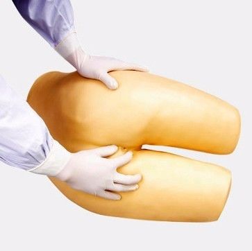 Modello di addestramento per la defecazione assistita e la cura del clistere ideale per l'istruzione in scienze mediche