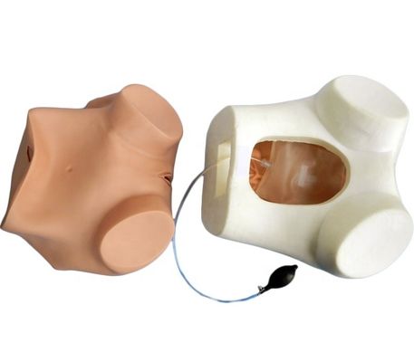 Esame pelvico e vaginale di dimensioni umane Manichino per la dimostrazione di cura dei pazienti