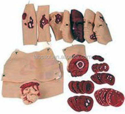 Modello di formazione sulle competenze di emergenza Modello avanzato di valutazione del trauma da ustioni al viso in PVC