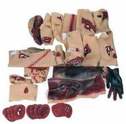 Modello di formazione sulle competenze di emergenza Modello avanzato di valutazione del trauma da ustioni al viso in PVC