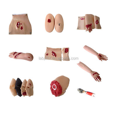 Modello di formazione sulle competenze di emergenza Modello avanzato di valutazione del trauma da ustioni al viso in PVC