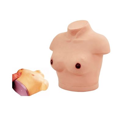 Manichino del corpo femminile vivo con esame del seno e modello di dimostrazione di palpazione