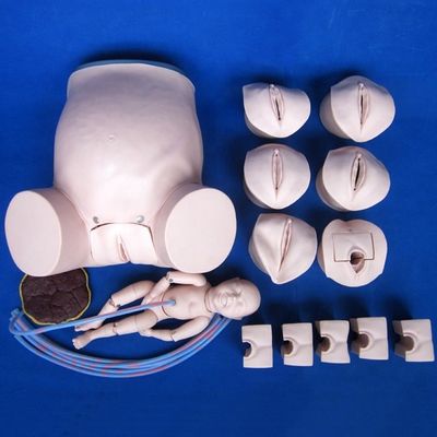 Dimostrazione di assistenza ai pazienti Modello di addestramento completo per le competenze di parto Formazione tecnica ostetrica Manichino