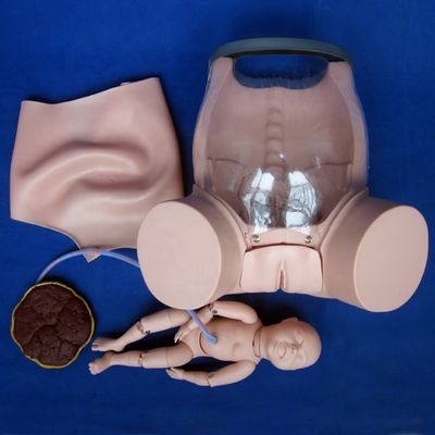 Dimostrazione di assistenza ai pazienti Modello di addestramento completo per le competenze di parto Formazione tecnica ostetrica Manichino