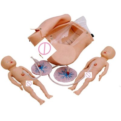 Manichino per le manovre di Leopold e formazione alle abilità di parto nel programma infermiere-ostetrica