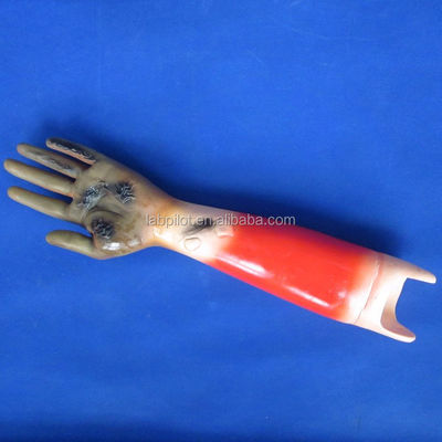 Modelli avanzati di trauma in PVC per la formazione in cura delle ferite e la dimostrazione della cura dei pazienti