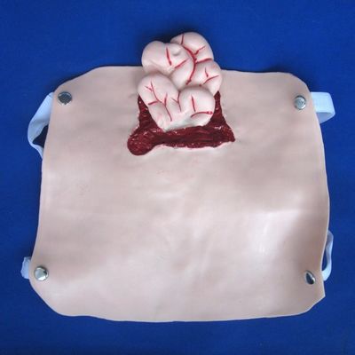 Modelli avanzati di trauma in PVC per la formazione in cura delle ferite e la dimostrazione della cura dei pazienti