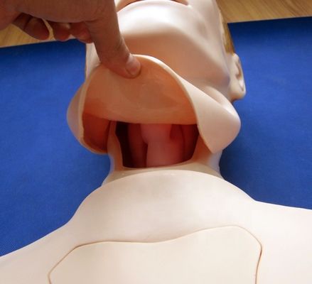 Manichino infermieristico a mezzo corpo per l'alimentazione nasogastrica e per l'intubazione della trachea