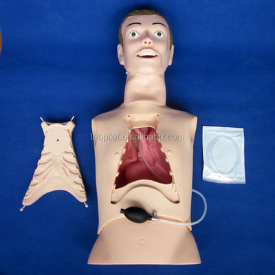 Manichino infermieristico a mezzo corpo per l'alimentazione nasogastrica e per l'intubazione della trachea