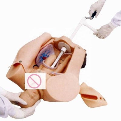Formazione completa in materia di maternità Mannequin per la scuola di infermieristica e ostetricia