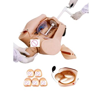 Formazione completa in materia di maternità Mannequin per la scuola di infermieristica e ostetricia