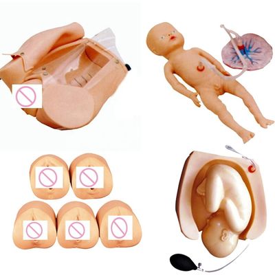Formazione completa in materia di maternità Mannequin per la scuola di infermieristica e ostetricia