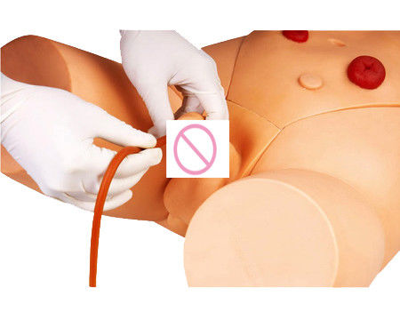 Modello di formazione infermieristica di cateterizzazione maschile per studenti di medicina Sviluppo delle competenze