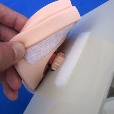 Modello di vescica maschile Simulatore di cateterizzazione uretrale per pazienti dimostrazione di assistenza