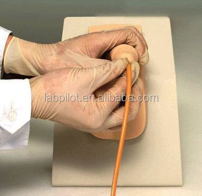 Modello di vescica maschile Simulatore di cateterizzazione uretrale per pazienti dimostrazione di assistenza