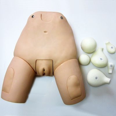 Simulatore avanzato del fondo per l' esame dell' utero Modello manichino femminile postpartum