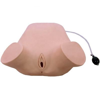 Advanced PVC Multifunzionale Quattro Manovre Leopold Modello Esame Rettale e Vaginale Manichino di addestramento