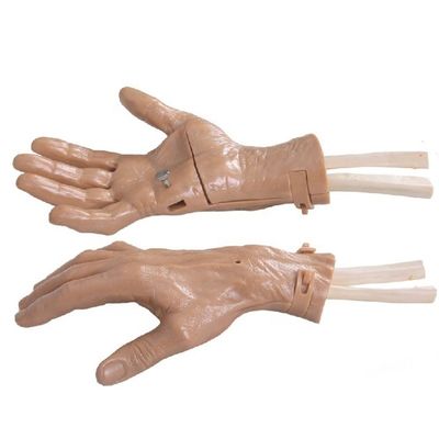 Simulatore di recupero di allenamento manuale realistico con struttura anatomica vivida