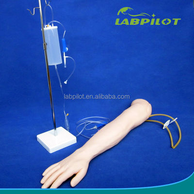 Modello di braccio per l'insegnamento dell'infusione e dell'iniezione endovenose per la pratica di simulazione medica
