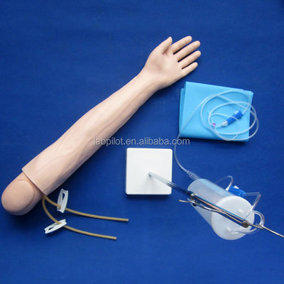 Modello di braccio per l'insegnamento dell'infusione e dell'iniezione endovenose per la pratica di simulazione medica