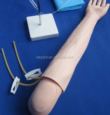 Modello di braccio per l'insegnamento dell'infusione e dell'iniezione endovenose per la pratica di simulazione medica