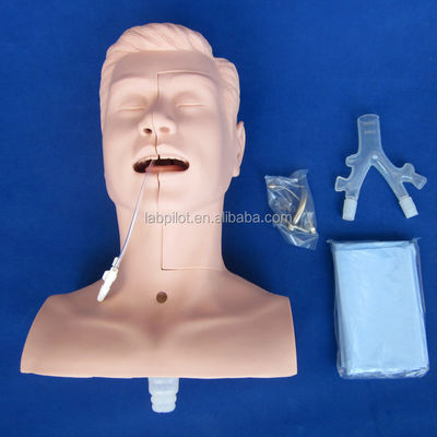 Modello di aspirazione versatile della cavità orale e nasale per la formazione clinica dei college di medicina