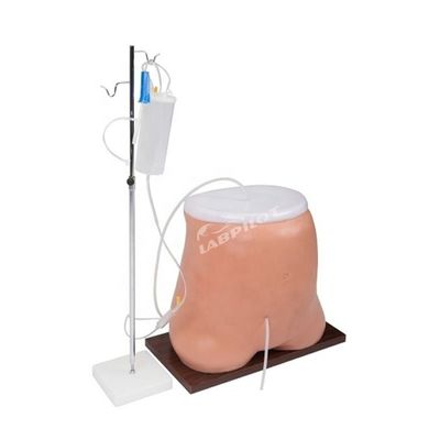 Modello di simulatore di formazione per la dialisi peritoneale a grandezza vitale con materiale PVC avanzato