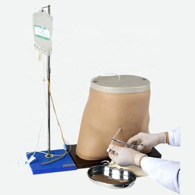 Modello di simulatore di formazione per la dialisi peritoneale a grandezza vitale con materiale PVC avanzato