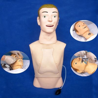 Il manichino a mezzo corpo è il modello di insegnamento per la cura dell'alimentazione nasogastrica negli ospedali