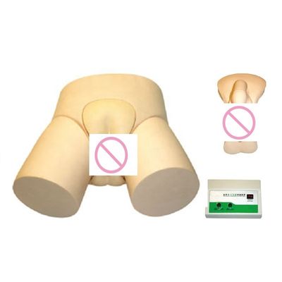 Modello avanzato di cateterizzazione uretrale elettronica in PVC e formazione al clistere per professionisti