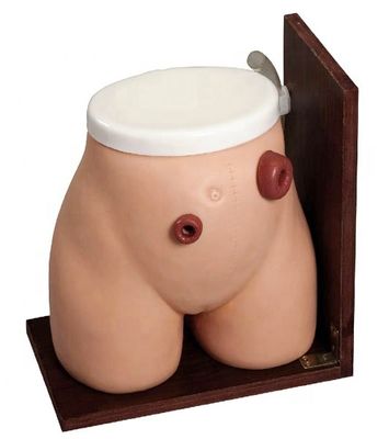 Abilità di Enema Insegnamento manichino Lo strumento di formazione perfetto per la cura della fistola medica stoma