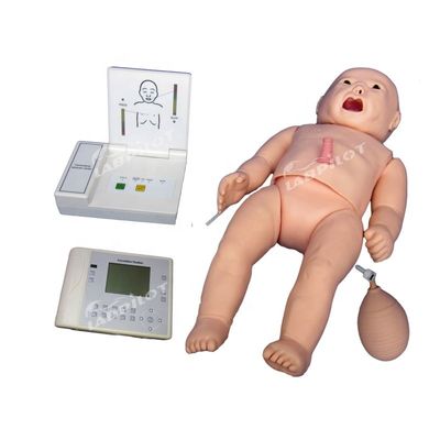 Manichino per la cura della maternità e della pediatria multifunzionale