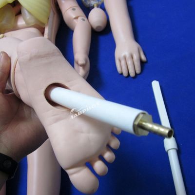 Pediatria Modello anatomico per l'addestramento alla maternità e alla cura pediatrica di bambini di 3 anni