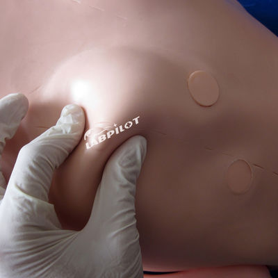 Manichino semplice e altamente funzionale per la cura del paziente per la formazione infermieristica in scienze mediche