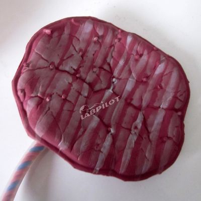 Modello avanzato di manichino per neonati in PVC per la cura della placenta per gli operatori sanitari