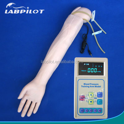 Manichino avanzato in PVC per la simulazione del braccio e la formazione sulla misurazione della pressione arteriosa nella pratica medica