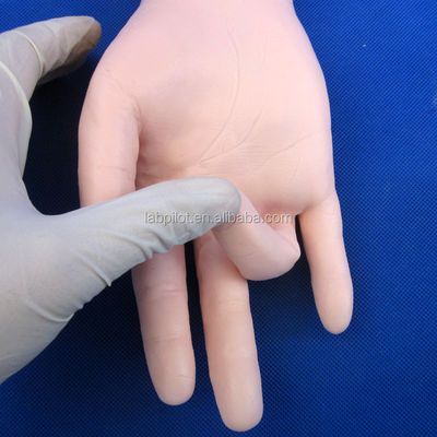 Manichino avanzato in PVC per la simulazione del braccio e la formazione sulla misurazione della pressione arteriosa nella pratica medica