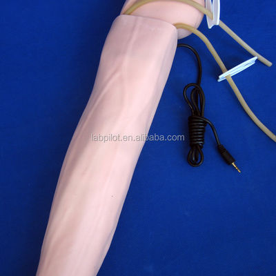Manichino avanzato in PVC per la simulazione del braccio e la formazione sulla misurazione della pressione arteriosa nella pratica medica