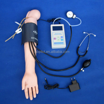 Manichino avanzato in PVC per la simulazione del braccio e la formazione sulla misurazione della pressione arteriosa nella pratica medica
