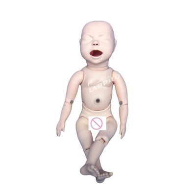 Bamboletta Neonatale Flessibile Il Manichino Insegnamento Ultimo per la Formazione in Scienze Mediche