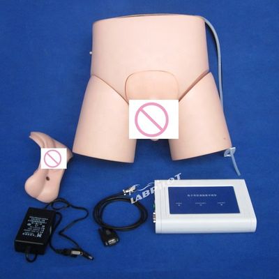 Manichino di cateterizzazione infermieristica avanzato con controllore in PVC