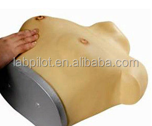 Modello avanzato di esame del seno in PVC indossabile per le abilità ginecologiche
