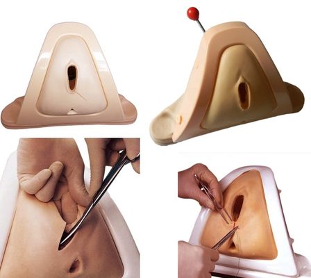 Modello avanzato di ostetricia-ginecologia in PVC per l'insegnamento delle competenze economiche