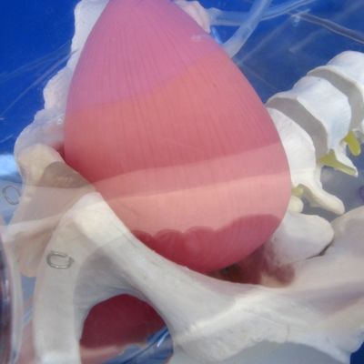 Insegnamento avanzato di cateterizzazione uretrale femminile trasparente in PVC per la formazione infermieristica