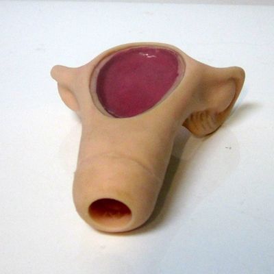 Manifestazione di cura del paziente IUD portatile compatto addestratore di inserimento per la scienza medica