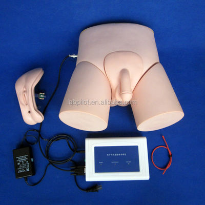 Simulatori di insegnamento medico Formazione al catetere per adulti con monitor di intubazione