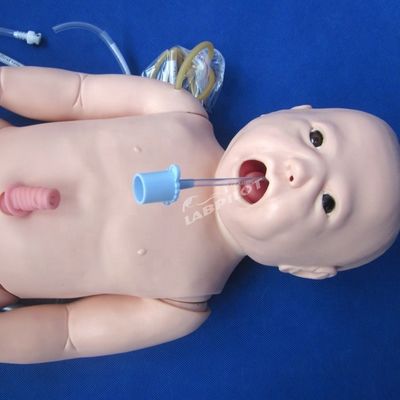 Bambino Vivido Bambino Vivido Bambino Vivido Bambino Vivido Bambino Vivido Bambino Vivido Bambino Vivido Bambino Vivido Bambino Vivido Bambino Vivido Bambino Vivido Bambino Vivido Bambino Vivido Bambino Vivido Bambino Vivido Bambino Vivido Bambino Vivido Bambino Vivido Bambino Vivido Bambino Vivido Bambino Vivido Bambino Vivido Bambino Vivido Bambino Vivido Bambino Vivido Bambino Vivido Bambino Vivido Bambino Vivido Bambino Vivido Bambino Vivido